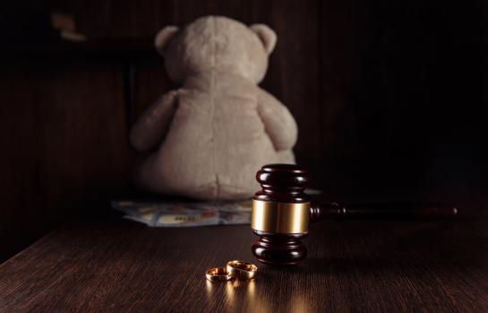 Pension de alimentos y garantia de obtenerla_img