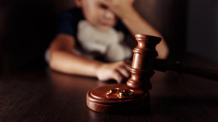 Pension alimenticia y pension compensatoria y su daño moral_img