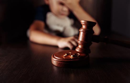 Pension alimenticia y pension compensatoria y su daño moral_img