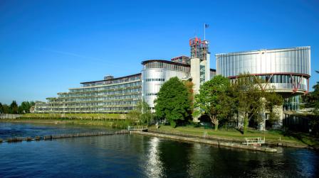 Recursos de amparo y el TEDH_img