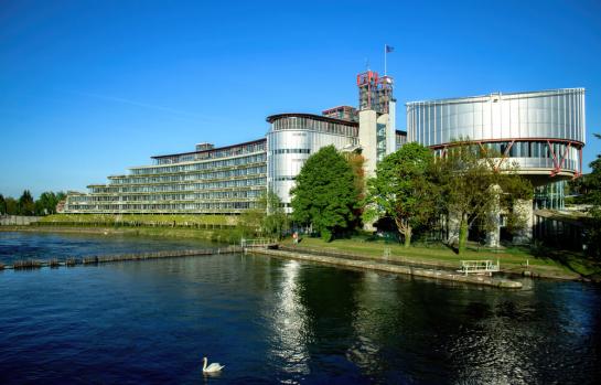 Recursos de amparo y el TEDH_img