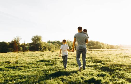 Tipos de familias_img