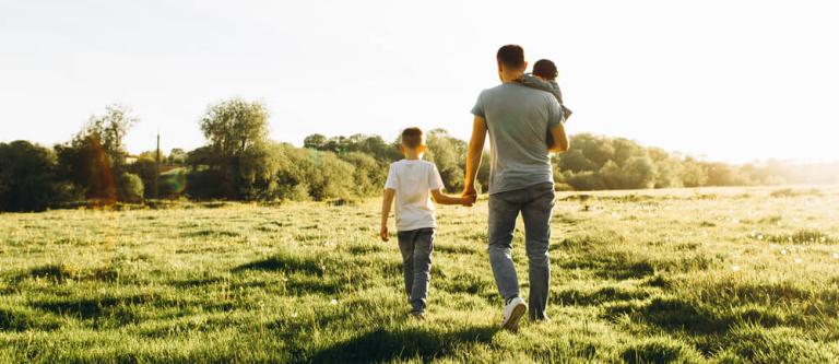 Tipos de familias_img