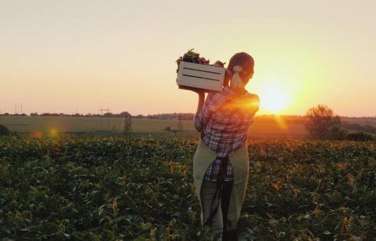 Ganaderos y agricultores y reduccion del IRPF_img