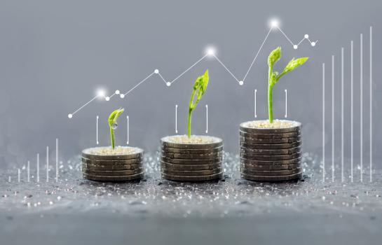 Sostenibilidad y finanzas_img