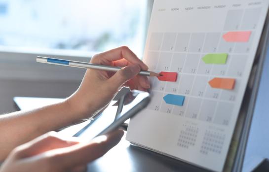 Vacaciones devengadas