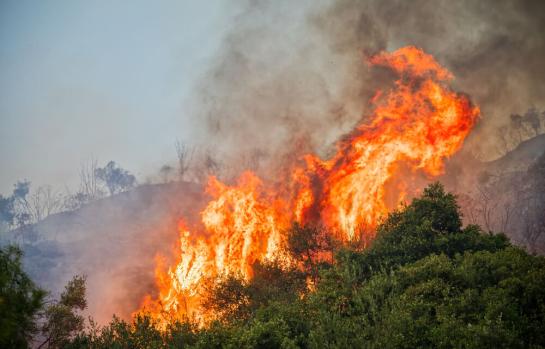 Incendios forestales y FGE_Img