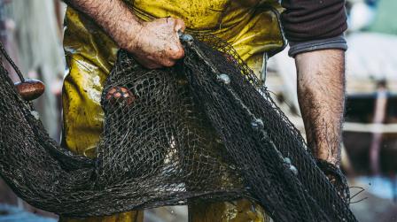 Complemento de pension de jubilacion y brecha de genero_img