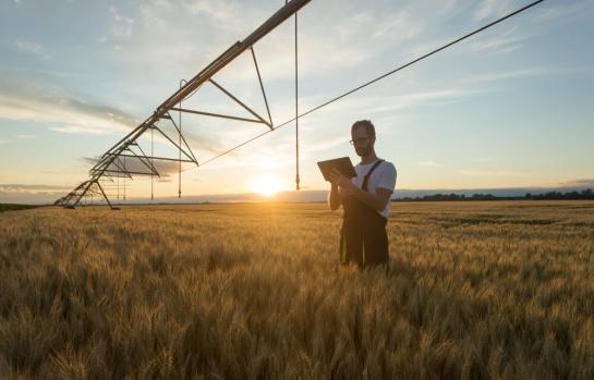 Sector agrario y medidas para la sequia_img