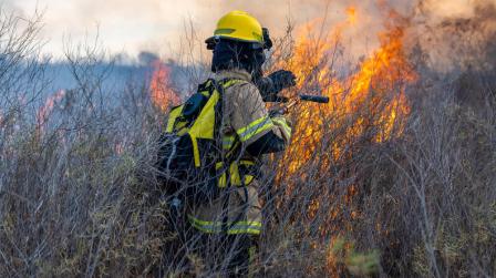 Agente forestal y conciliación_img