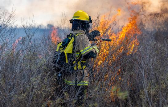 Agente forestal y conciliación_img