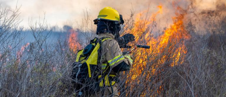 Agente forestal y conciliación_img