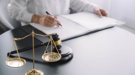 Apoyo a la capacidad juridica de personas con discapacidad_img