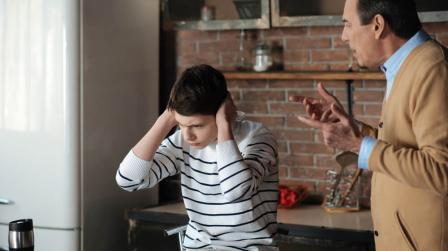 Programas para luchar contra la violencia familiar en el hogar_img