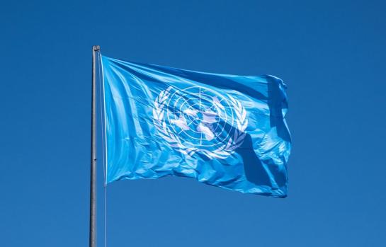 Naciones unidas y Comité de Torturas