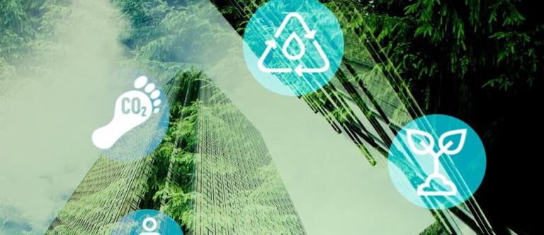 Estudio sobre la RSE_img
