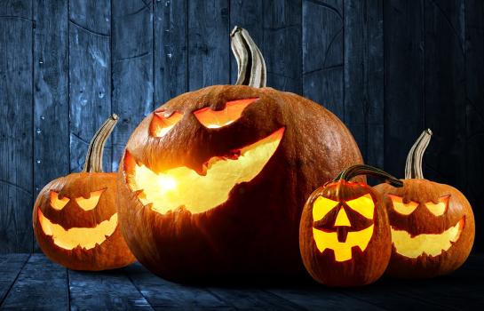 Halloween,Design,With,Pumpkins,.,Mixed,Media