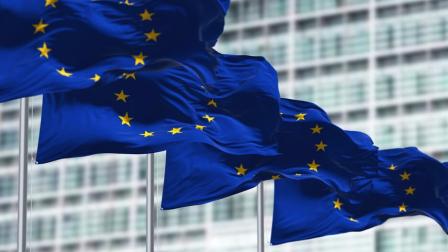 Tarjeta discapacidad Parlamento Europeo_img