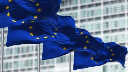 Tarjeta discapacidad Parlamento Europeo_img