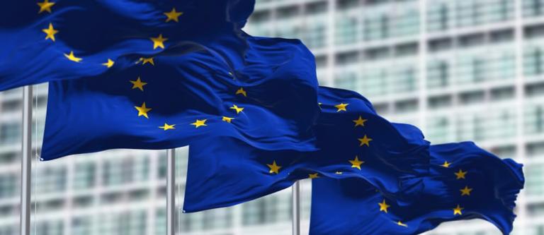 Tarjeta discapacidad Parlamento Europeo_img