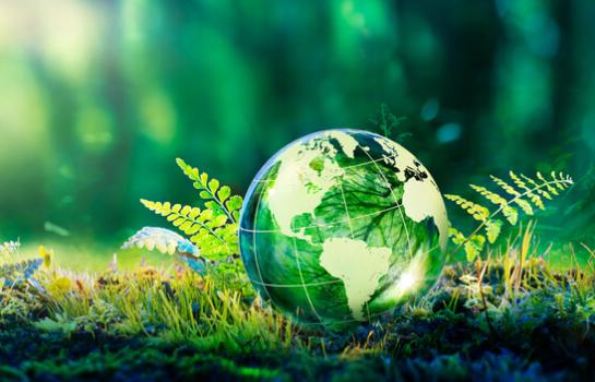ESRS y sostenibilidad_img