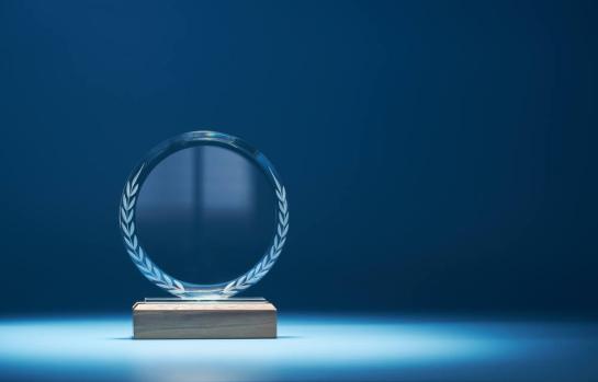 Premio AEDAF y su fallo 2023_img