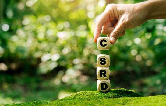 La CSRD y caso practico_img