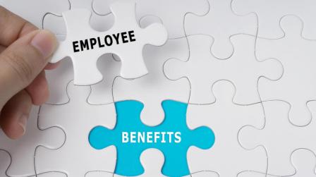 Retribucion flexible y su implantacion_img