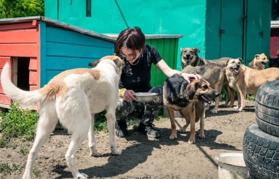 Cuidado, cría, comercialización y transporte de animales_img