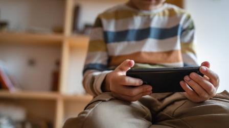 Menores y el acceso a internet Consejo de Ministros_img