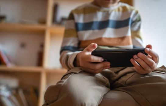 Menores y el acceso a internet Consejo de Ministros_img