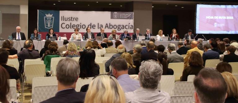 ICAM aprueba las cuentas anuales con superávit_img