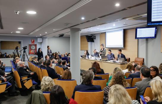 Mesa y pleno Abogacía y proximas elecciones_img