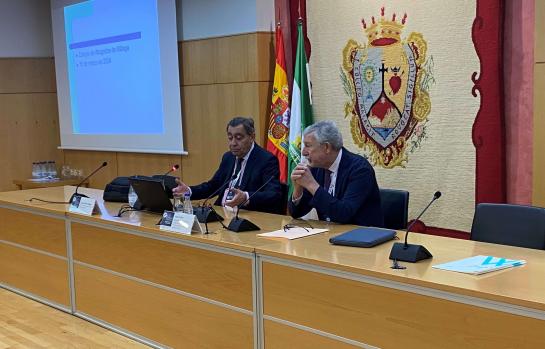 Sánchez Melgar y Pellón Congreso ICA Malaga-CGAE_img