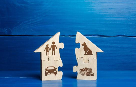 Divorcio y mascotas para las separaciones_img