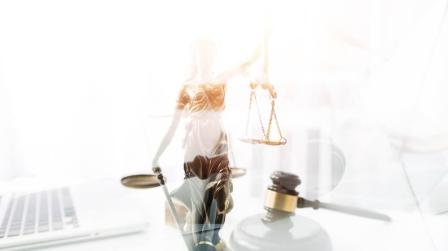 Tasa de litigiosidad_img