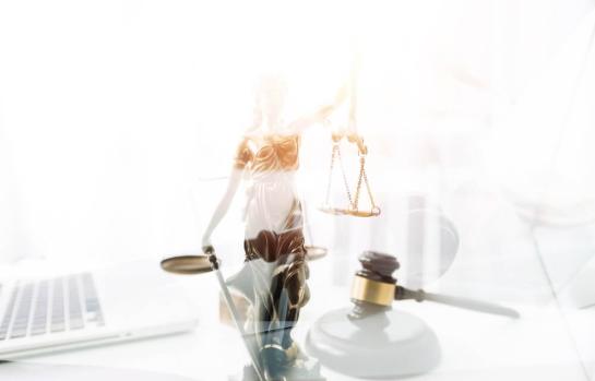 Tasa de litigiosidad_img