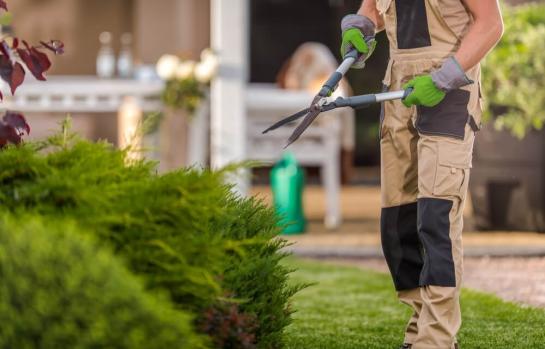 Incapacidad permanente jardinero_img