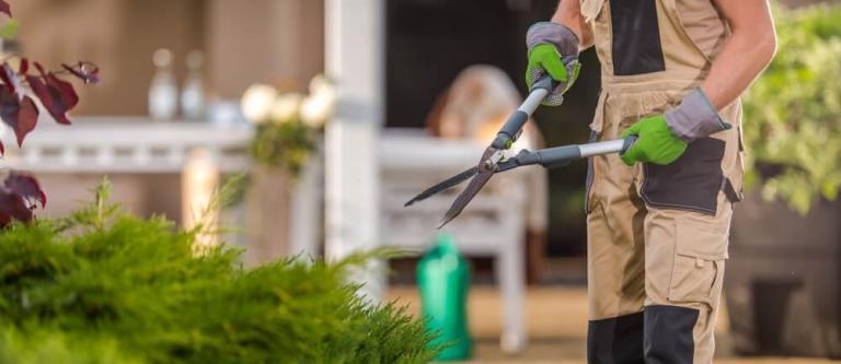 Incapacidad permanente jardinero_img