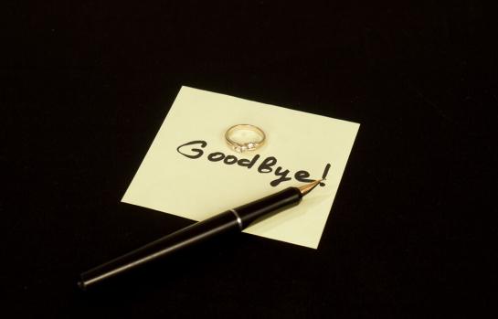 Disoluciones matrimoniales resumen 2023_img