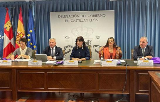 Violencia de género y puntos violeta_img