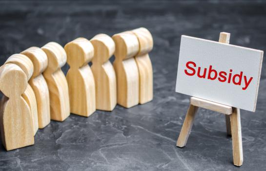 Subvención y ente público y su relación con el IVA_img