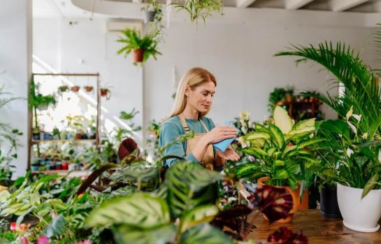 Incapacidad permanente total a dependienta de floristeria_img