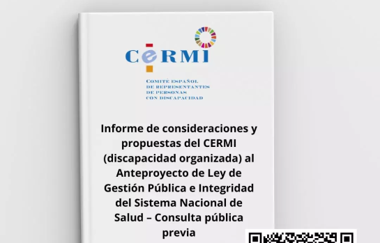 Informe propuestas CERMI Ley Gestión Pública_img