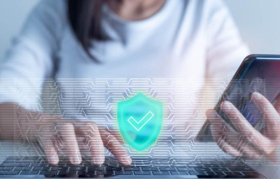 Protección de datos y funcionalidades electorales_img