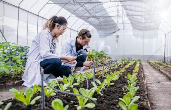 Ayudas bono digital nueva convocatoria_img