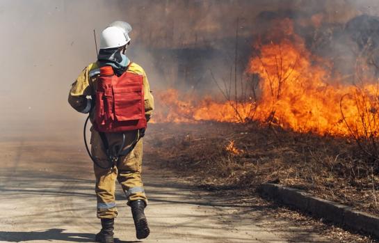 Bombero forestal