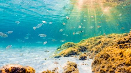 Derecho del mar y jurisdiccion_img