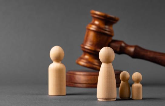 Patria potestad y privación de ella por condena_img