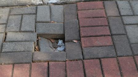 Responsabilidad de la administracion por desperfecto en vía publica_img